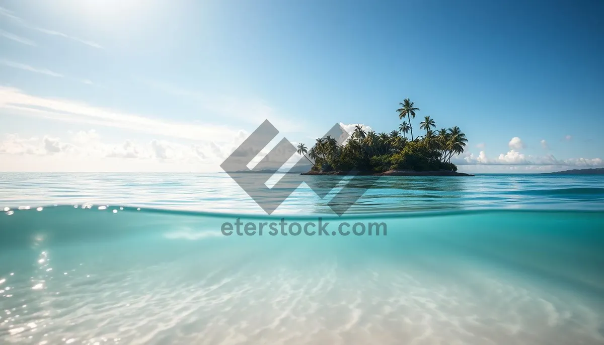 Picture of Tropical island beach relaxation under a sunny sky.