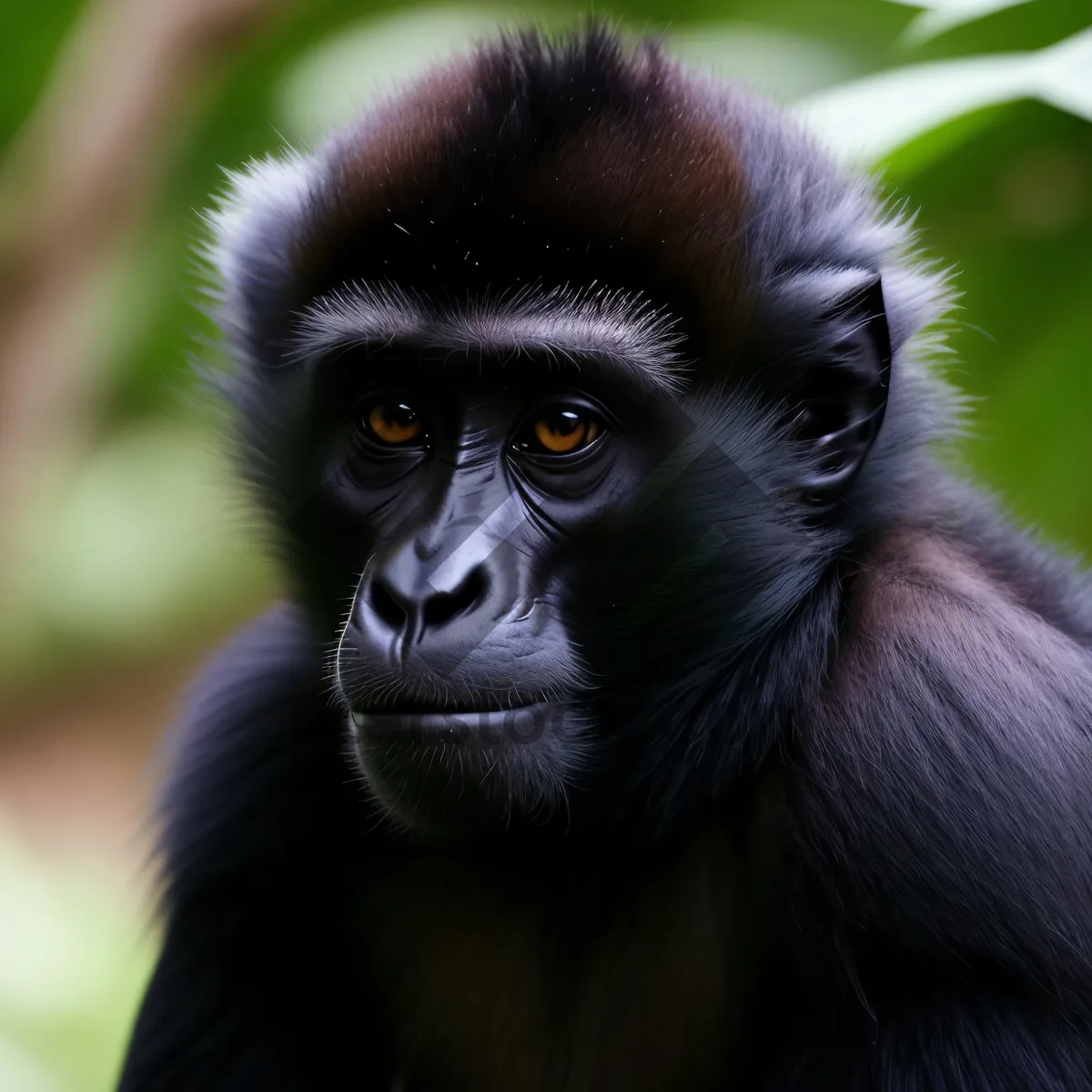 Picture of Primate Portrait: Majestic Gorilla Amidst Wildlife