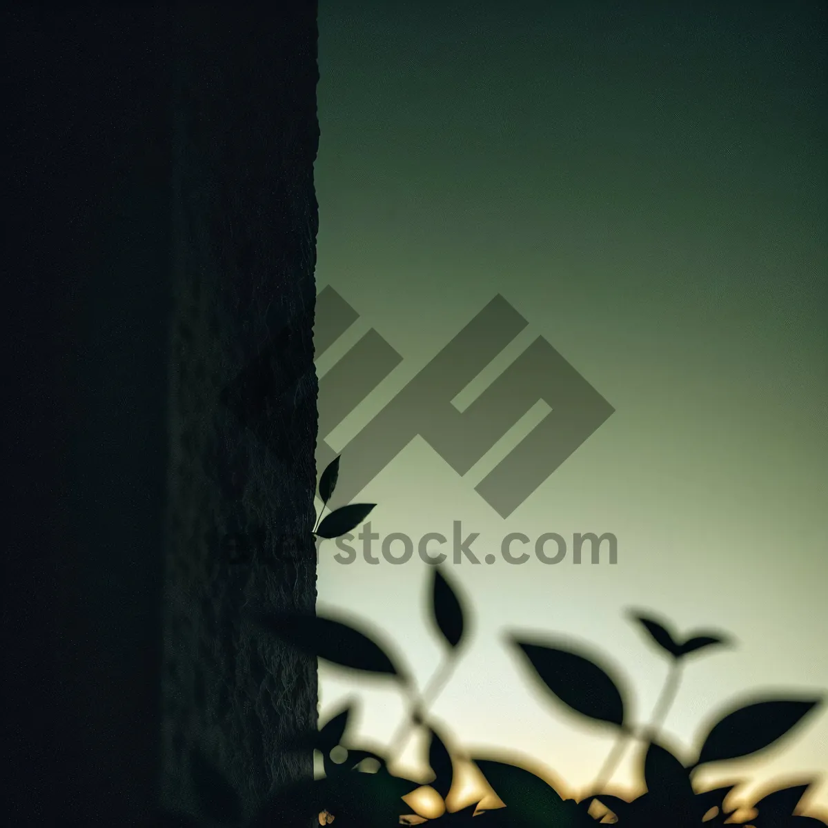 Picture of Silhouette of Tree by Sunlit Cemetery Hole