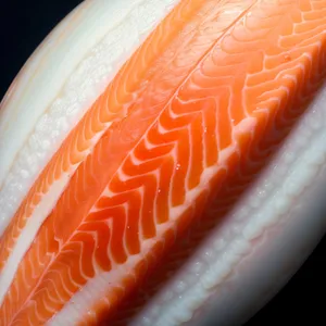 Fresh Salmon and Citrus Gourmet Plate
