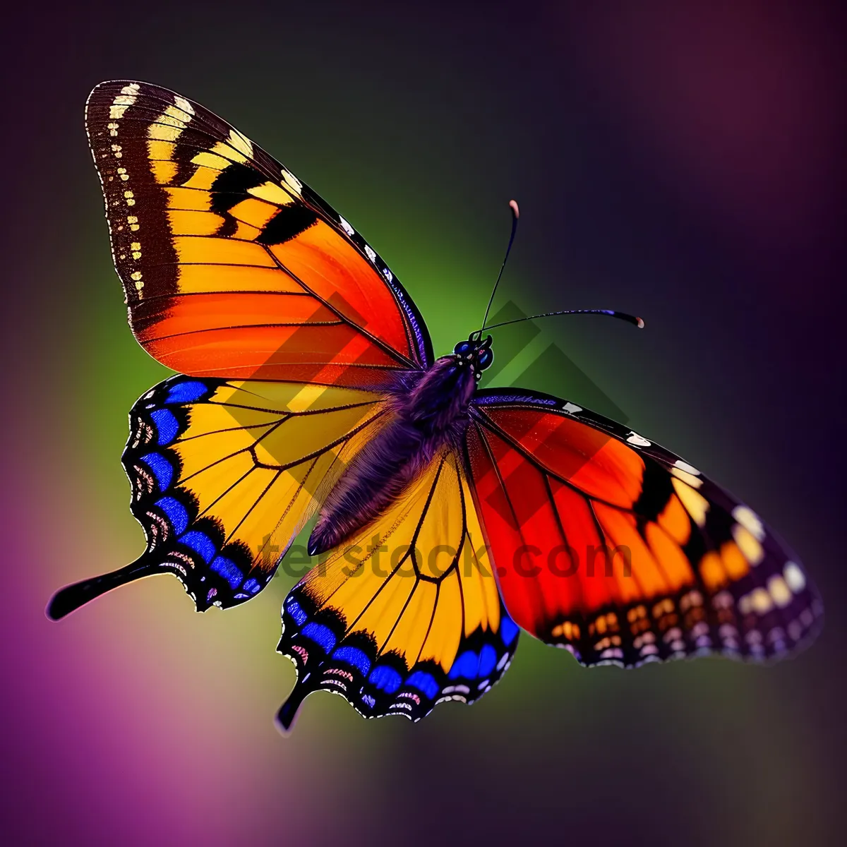 Picture of Colorful Monarch Butterfly With Vibrant Wings Flying Among Flowers