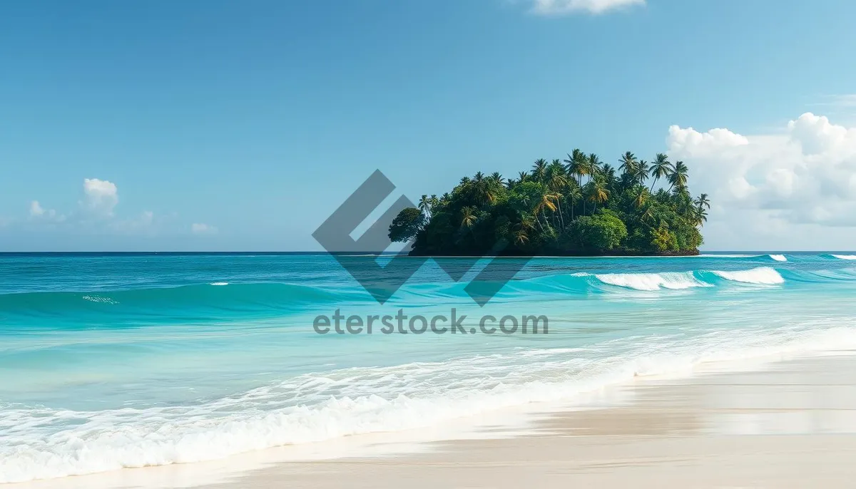 Picture of Sunny beach paradise with turquoise waves and palm trees