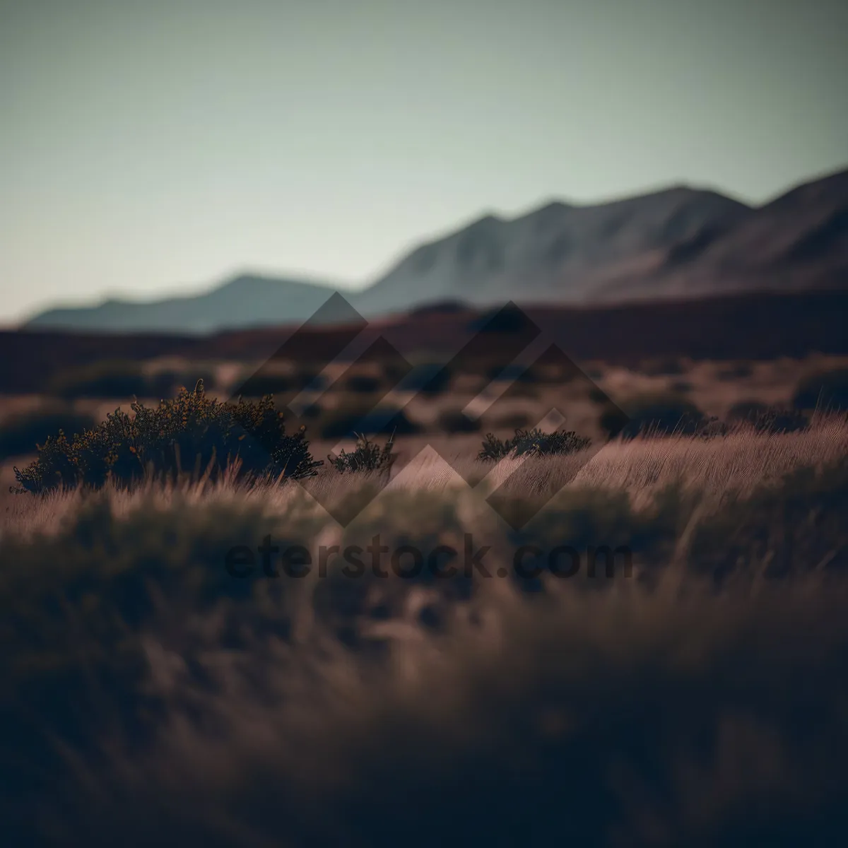 Picture of Mountain Sunset Over Desert Landscape