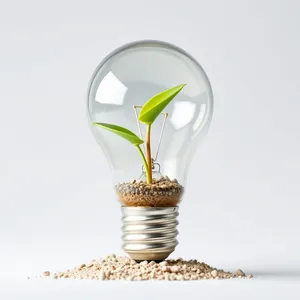 Green Energy Symbol with Glass Bulb and Plant Leaf