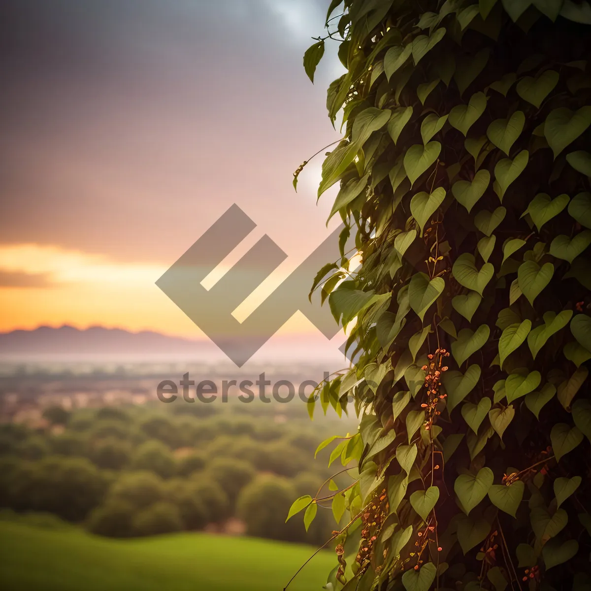 Picture of Sunny Summer Skyline with Lush Green Meadow and Vibrant Sunflowers