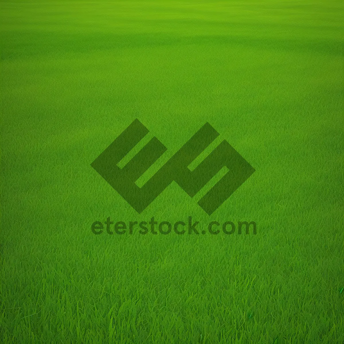 Picture of Verdant Wheatfield, Nature's Lush Green Carpet