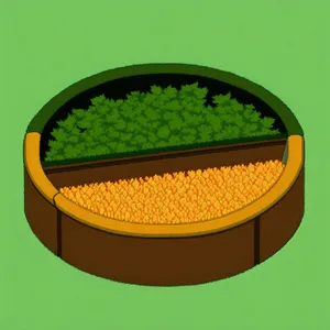 Healthy Lentil Vegetable Tray in Container