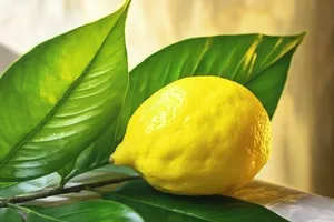 Fresh and Juicy Organic Lemons with Vitamin C