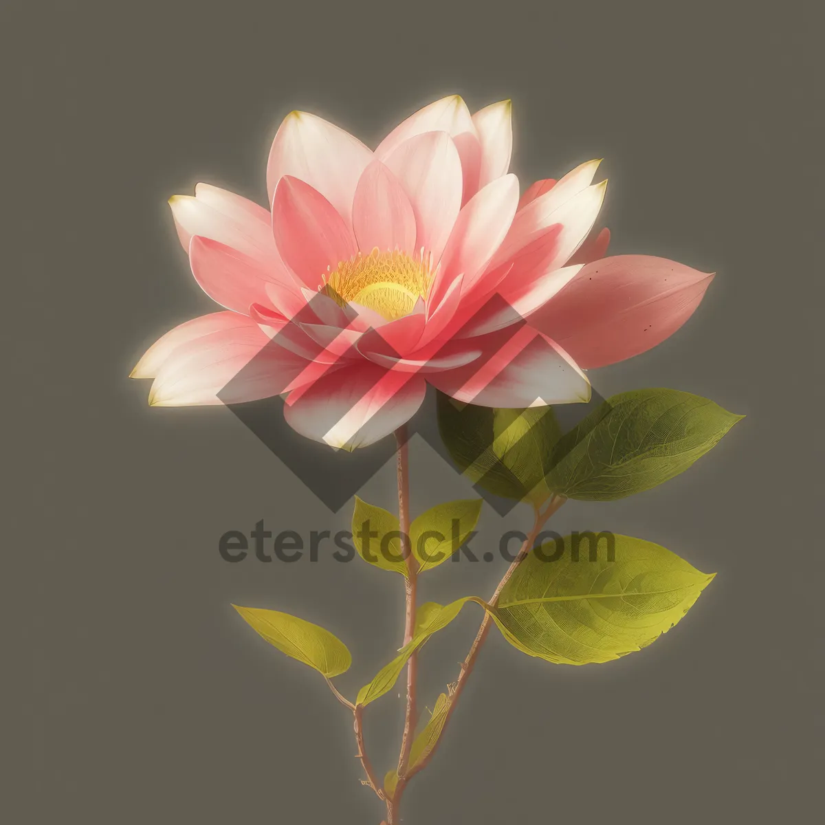 Picture of Pastel Pink Lotus Blossom in a Serene Water Garden