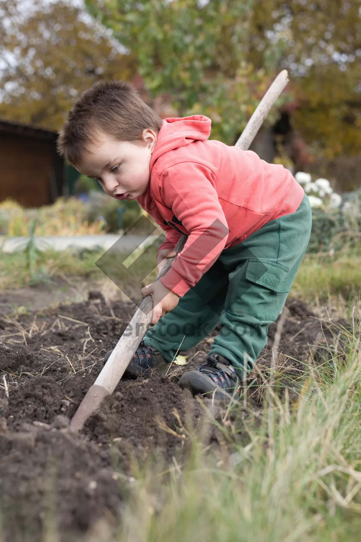 Picture of Happy Child Playing in Autumn Field with Rake.