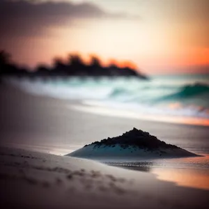 Golden Serenity: Sunset Reflection on Beach