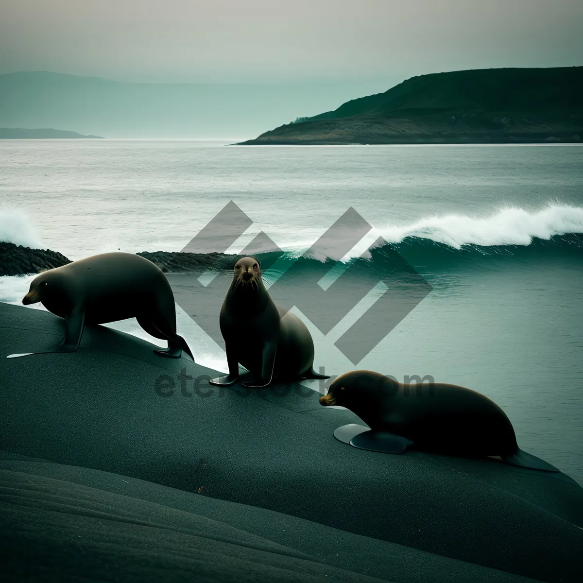 Picture of Seafaring Seal in Tranquil Coastal Waters