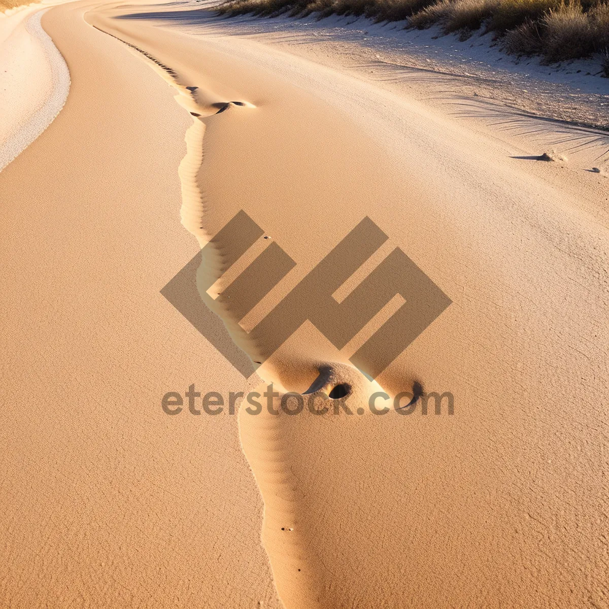 Picture of Sandy Dune Landscape under the Hot Sun