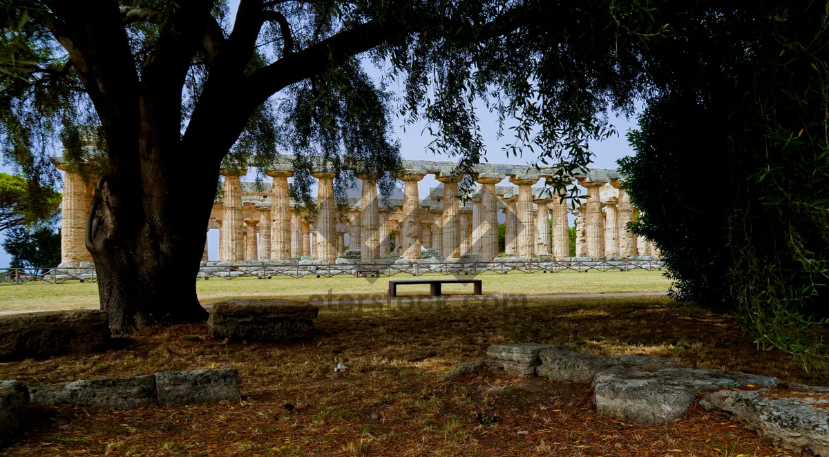 Picture of Memorial Park with Stone Fence and Trees