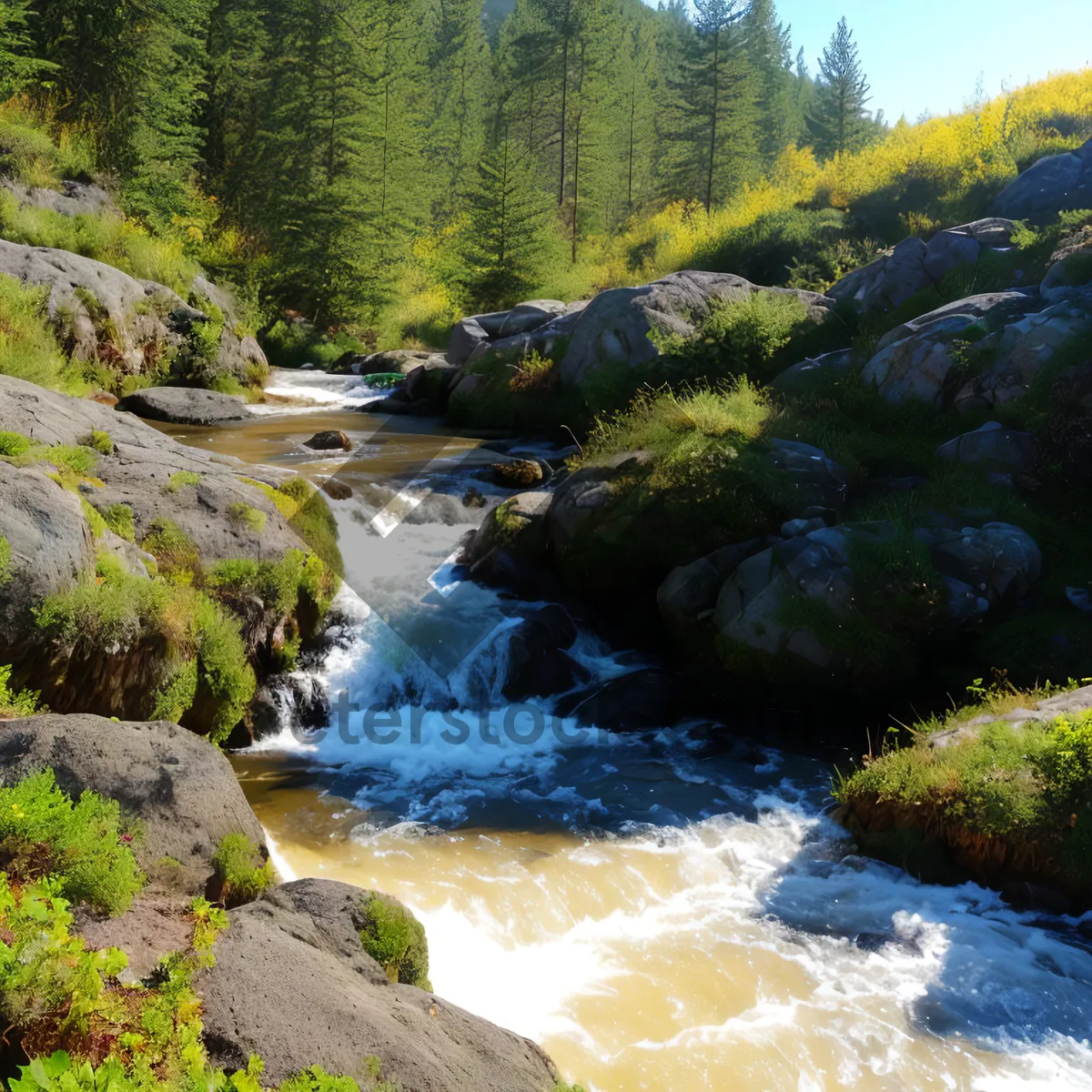 Picture of Serene Mountain Waterfall in Forest Ravine