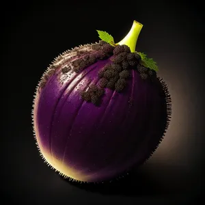 Fresh Organic Purple Onion and Garlic Bulb Ingredients