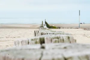 Wooden poles or wave breaker under cloudy sky in summer at Dutch north sea coast.