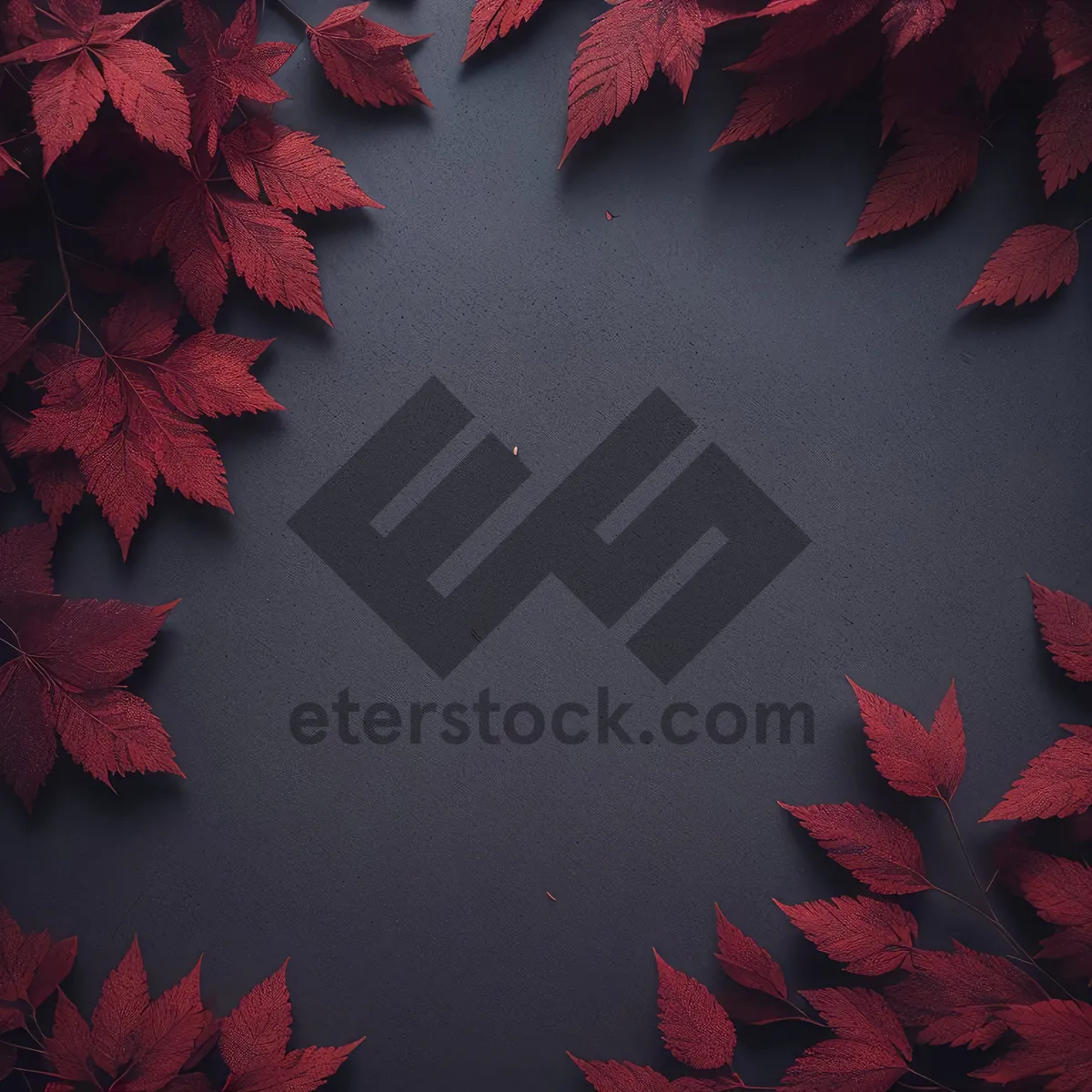 Picture of Vibrant Autumn Foliage in a Colorful Forest