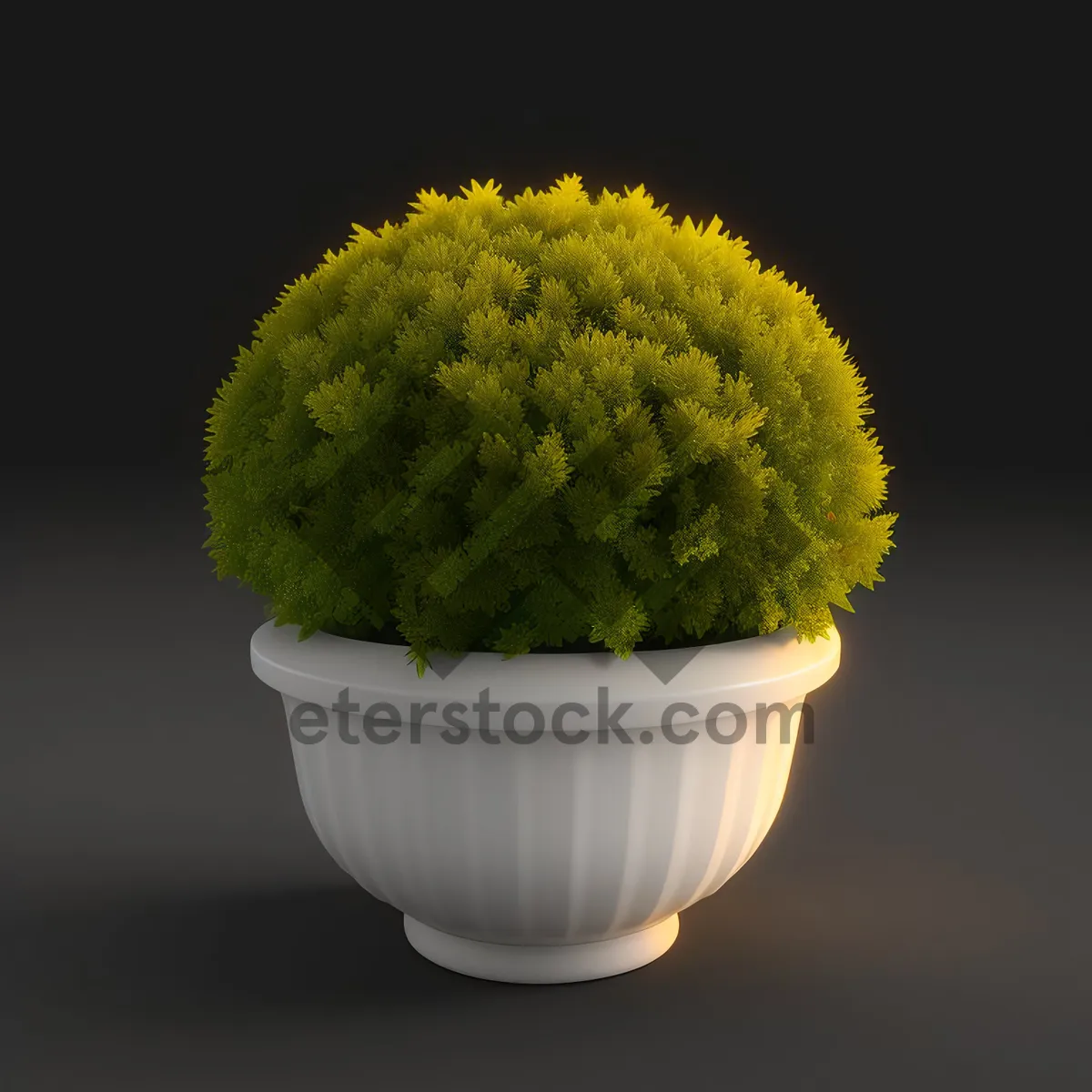 Picture of Fresh and Healthy Cactus Food in a Pot