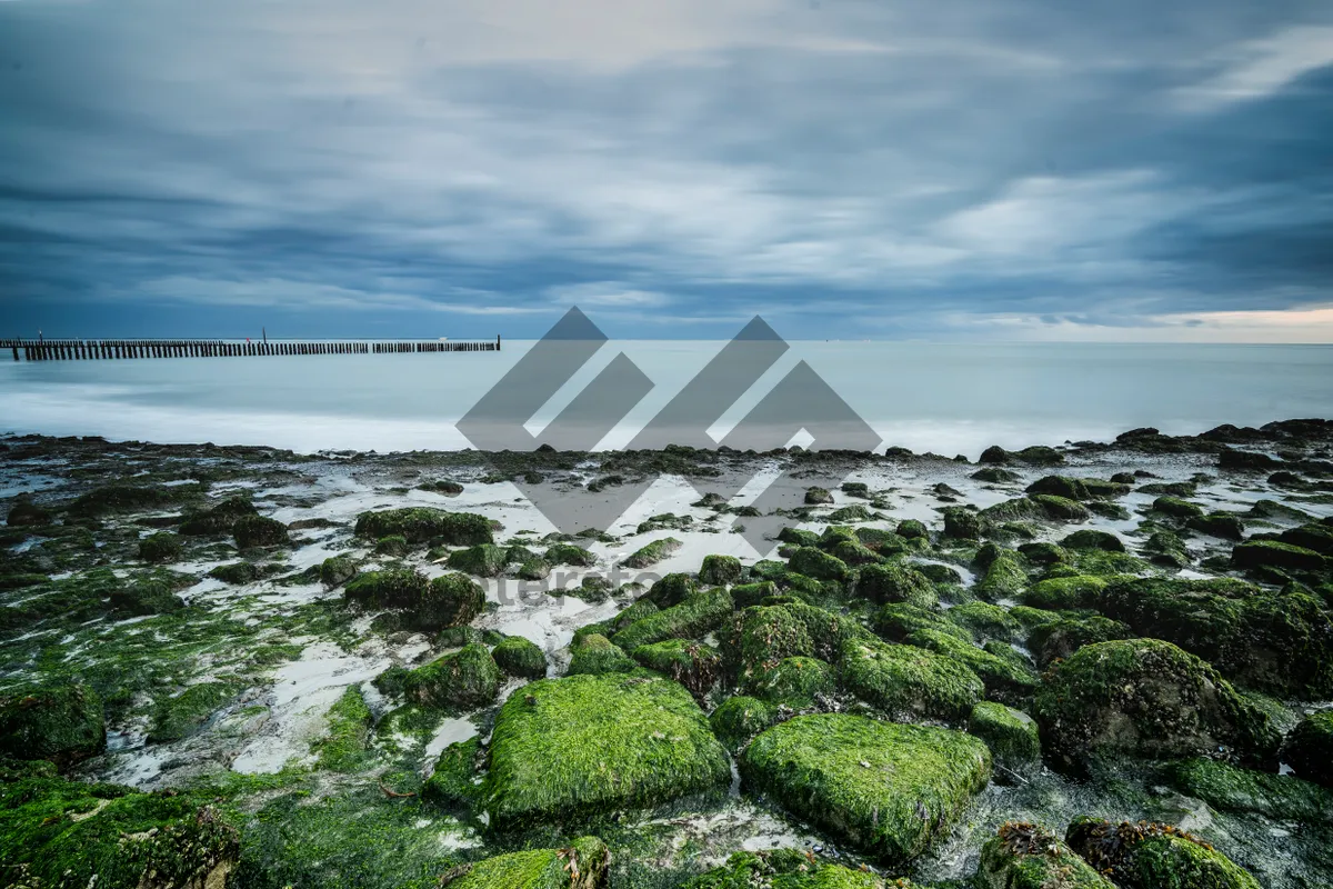 Picture of Sunny Beachscape with Waves and Rock Barrier