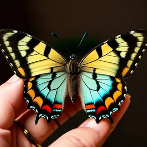 Monarch Butterfly Wing in Flight