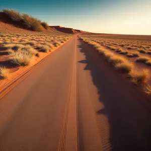 Serenity on the Desert Road