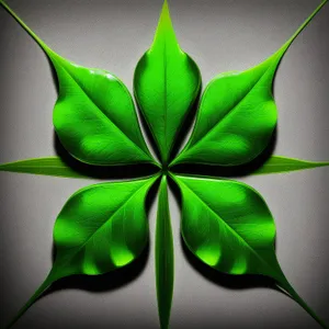 Vibrant Lotus Leaf Fractal Design