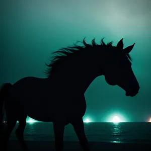 Powerful Silhouette of Majestic Stallion