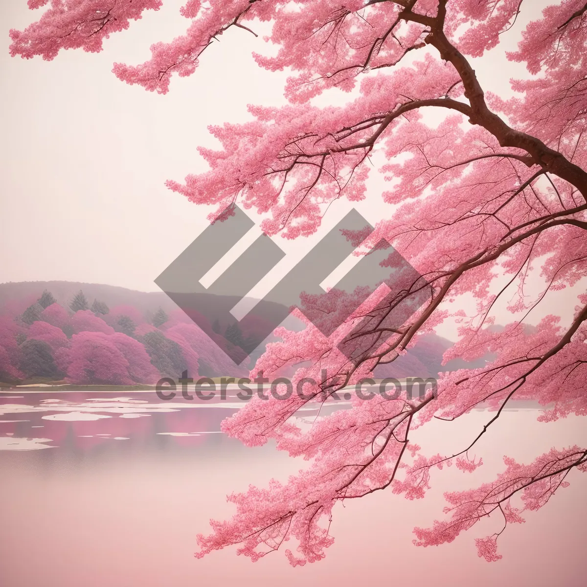 Picture of Japanese Maple Pink Grunge Texture Design