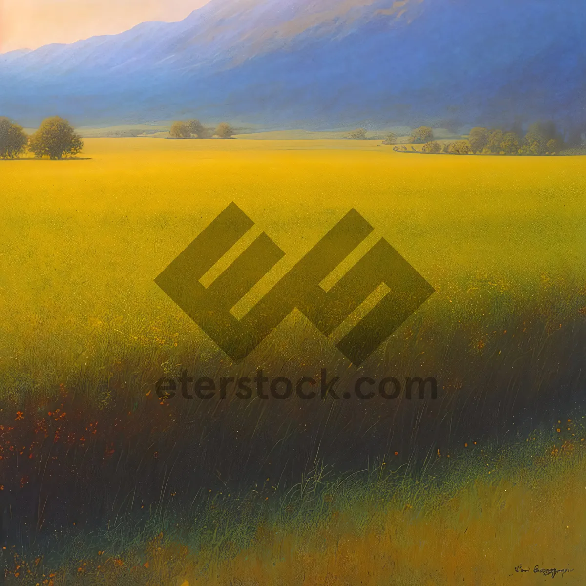 Picture of Idyllic Countryside Field with Vibrant Yellow Mustard Plants