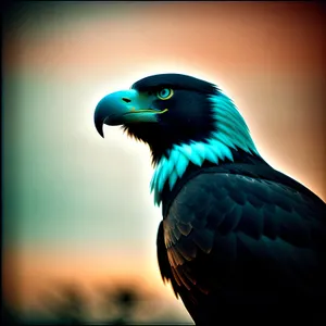 Vibrant Macaw with Yellow Feathers and Piercing Eye