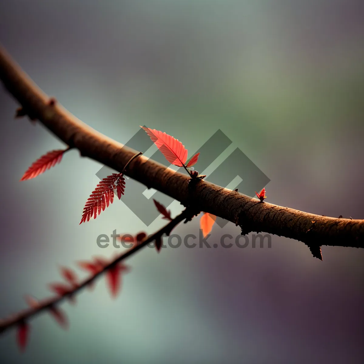 Picture of Colorful Bird Perched on Branch Against Blue Sky