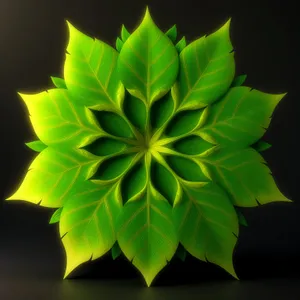 Vibrant Lotus Graphic: Artful Leaf Pattern with Curved Texture