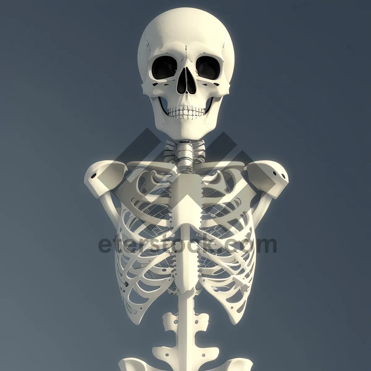 Picture of Spooky Skull Sculpture: Anatomically Detailed 3D Skeleton