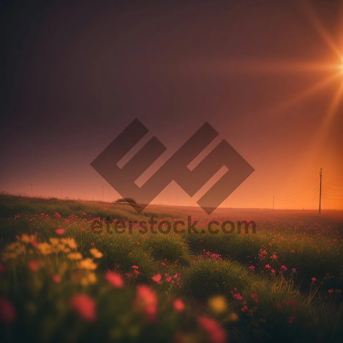 Picture of Vibrant Sunset Over Meadow - Summer Sky