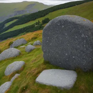 Golf Ball on Stone Memorial in Grass