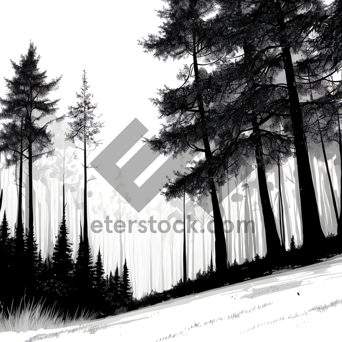 Picture of Snow-covered Fence in Wintery Forest