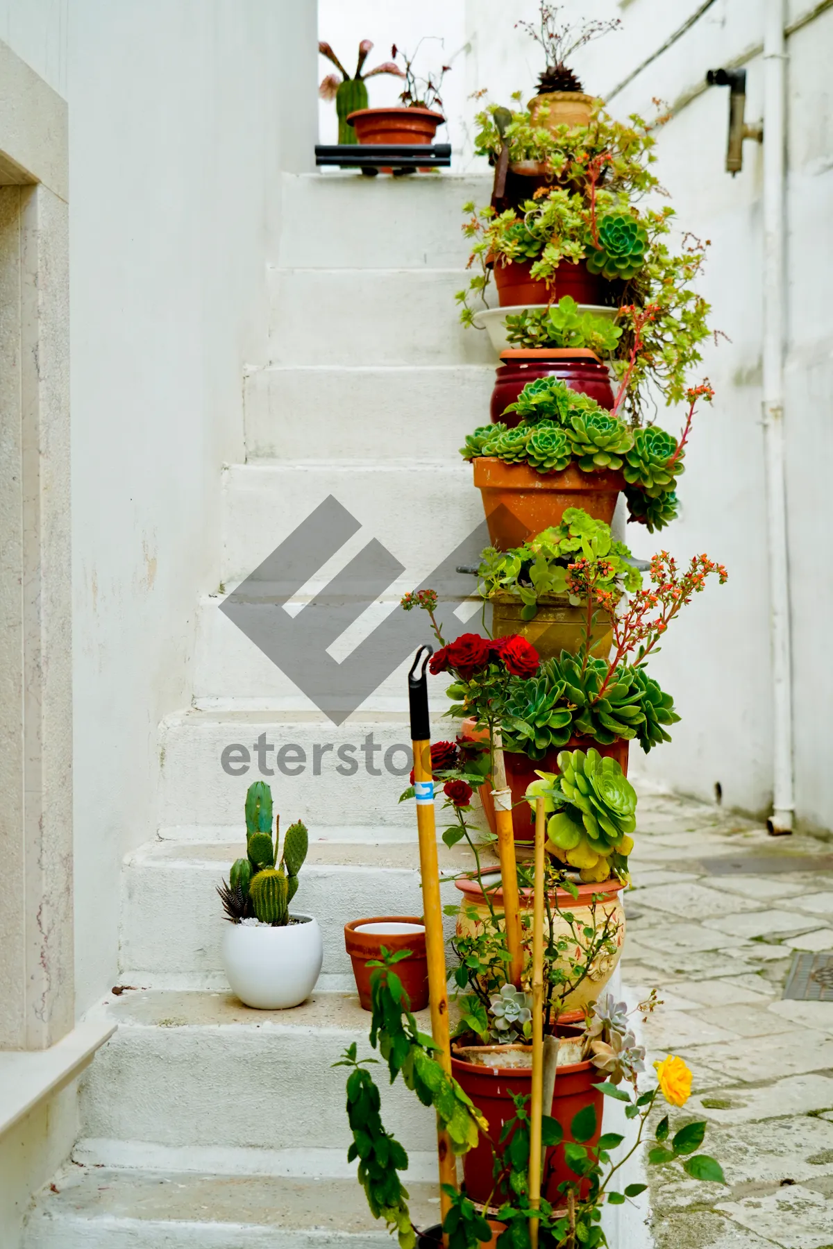 Picture of Modern architectural building with decorative plant vase