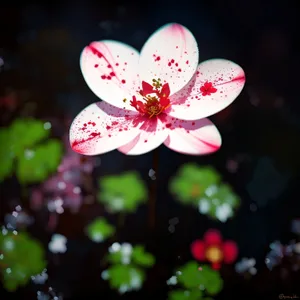 Spring Blossoms in a Vibrant Garden