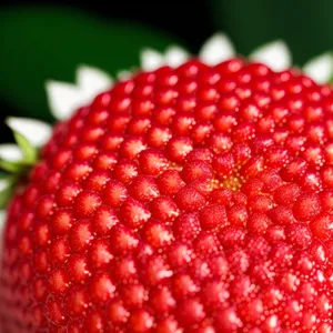 Refreshing Summer Berries Bursting with Juicy Sweetness