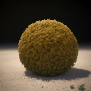 Fresh Tennis Ball with Edible Sea Urchin Twist