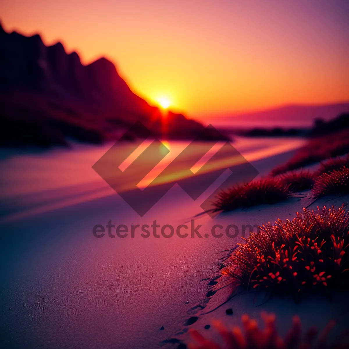 Picture of Vibrant Sunset Over Coastal Meadow