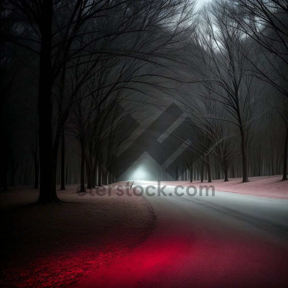 Picture of Sunlit Path through Scenic Tunnel