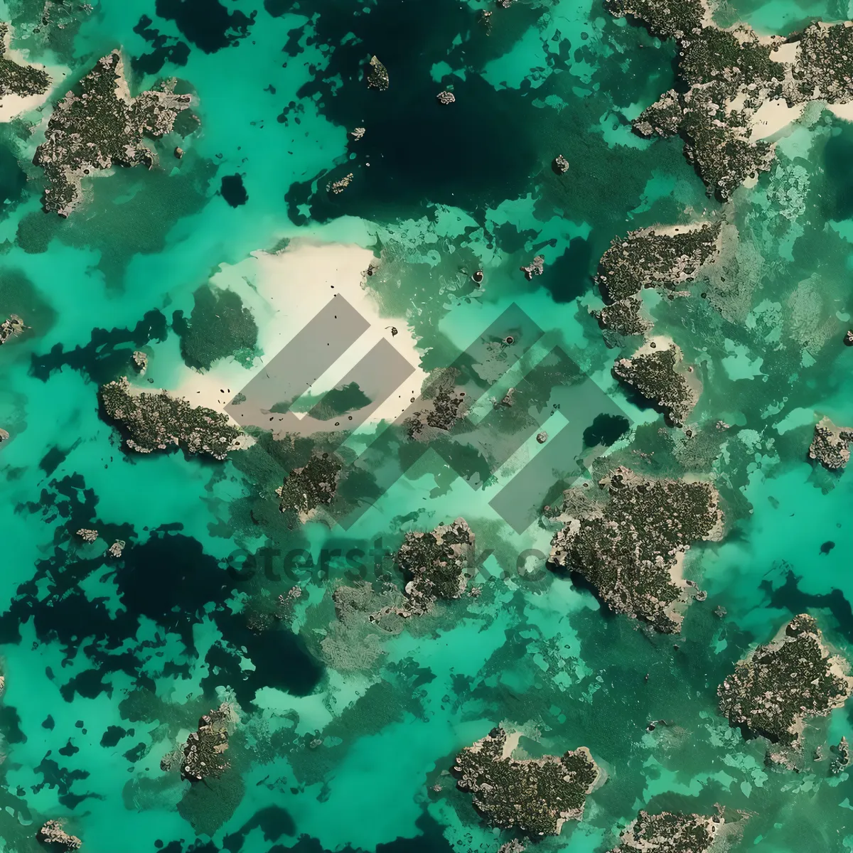 Picture of Vibrant Coral Reef Teeming with Marine Life