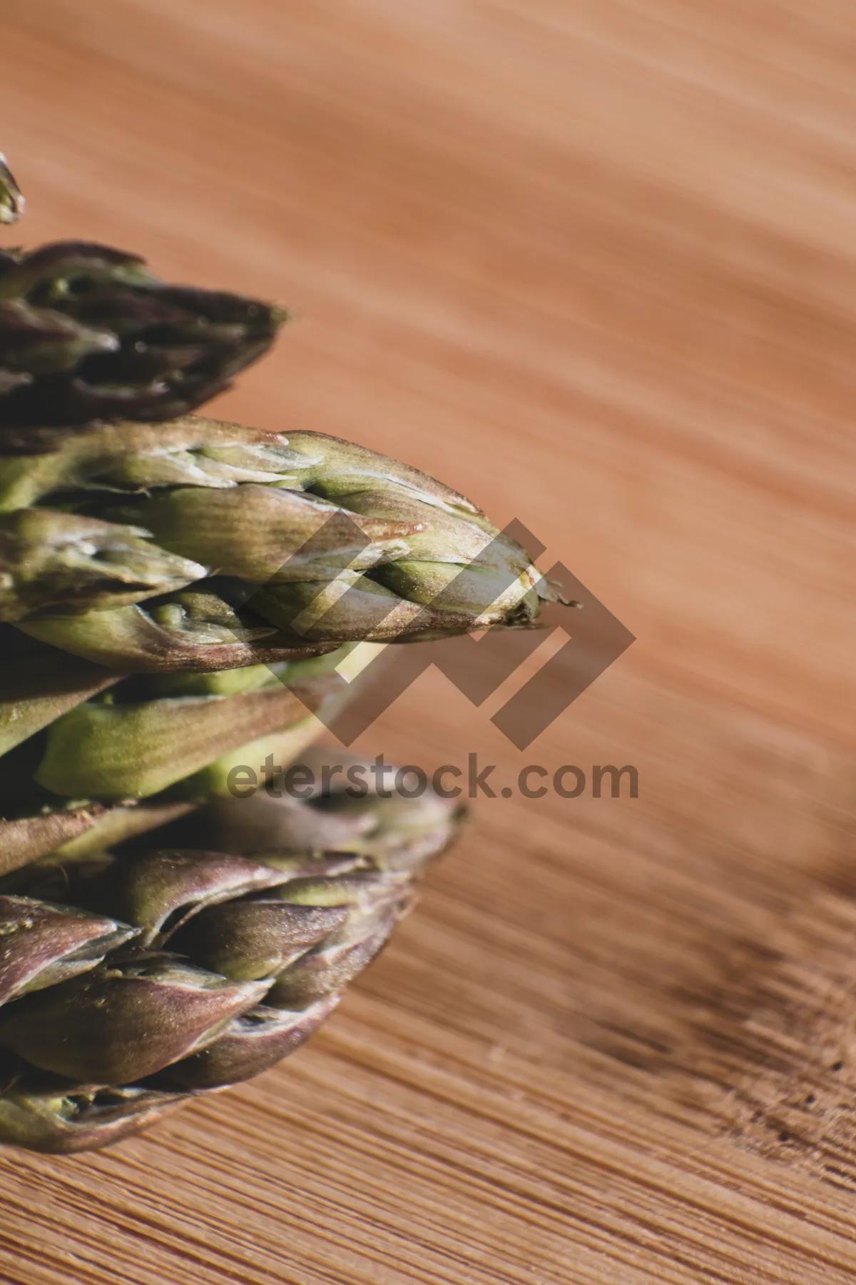 Picture of Fresh Asparagus, Healthy Vegetable, Delicious Plant