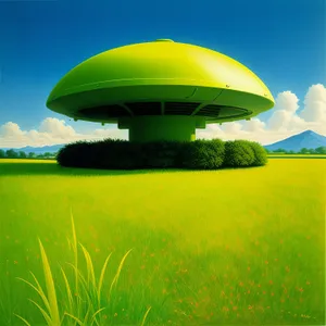 Vibrant green meadow under a sunny sky