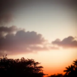 Vibrant Sunset Over Summer Landscape