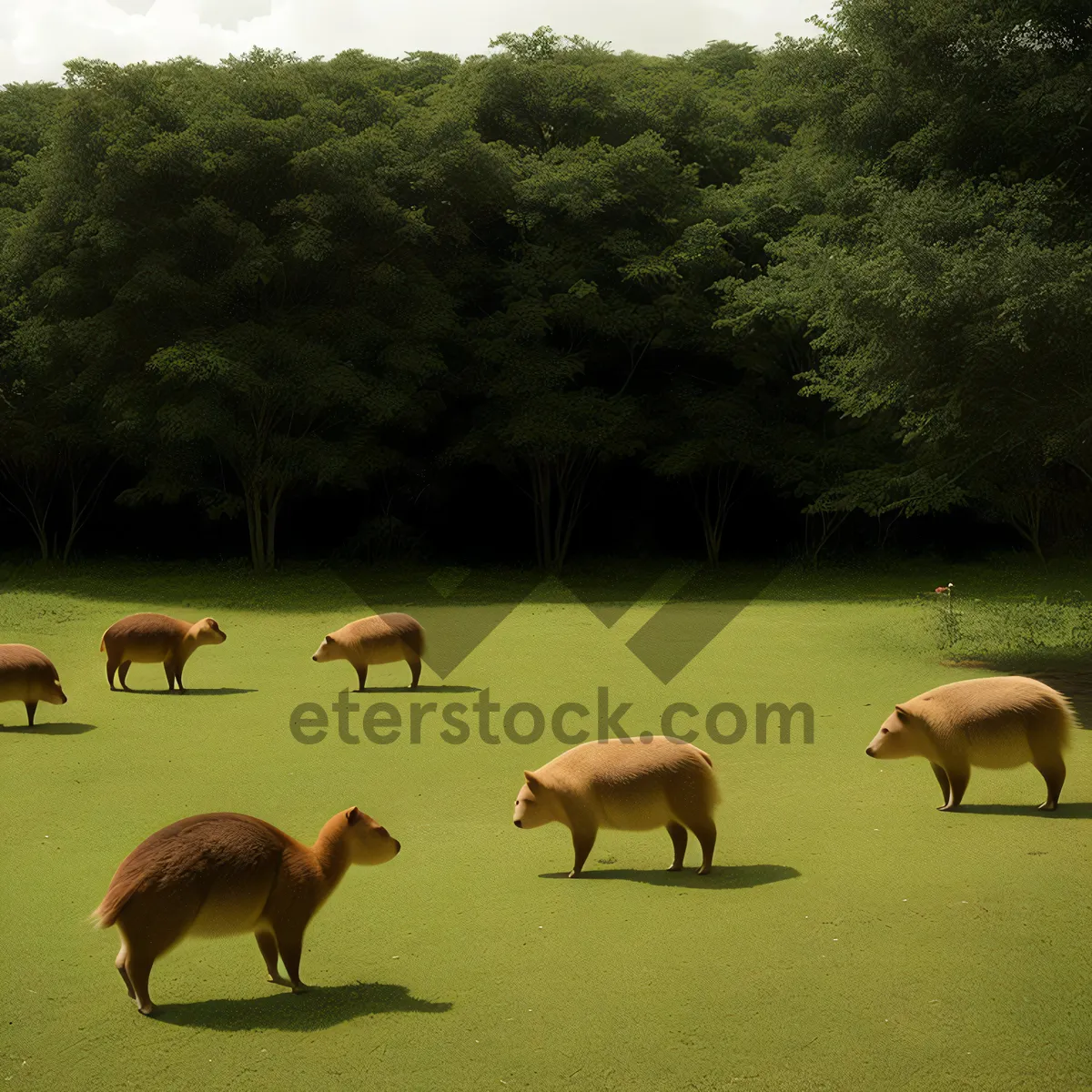 Picture of Farm landscape with grazing horses and wild geese.