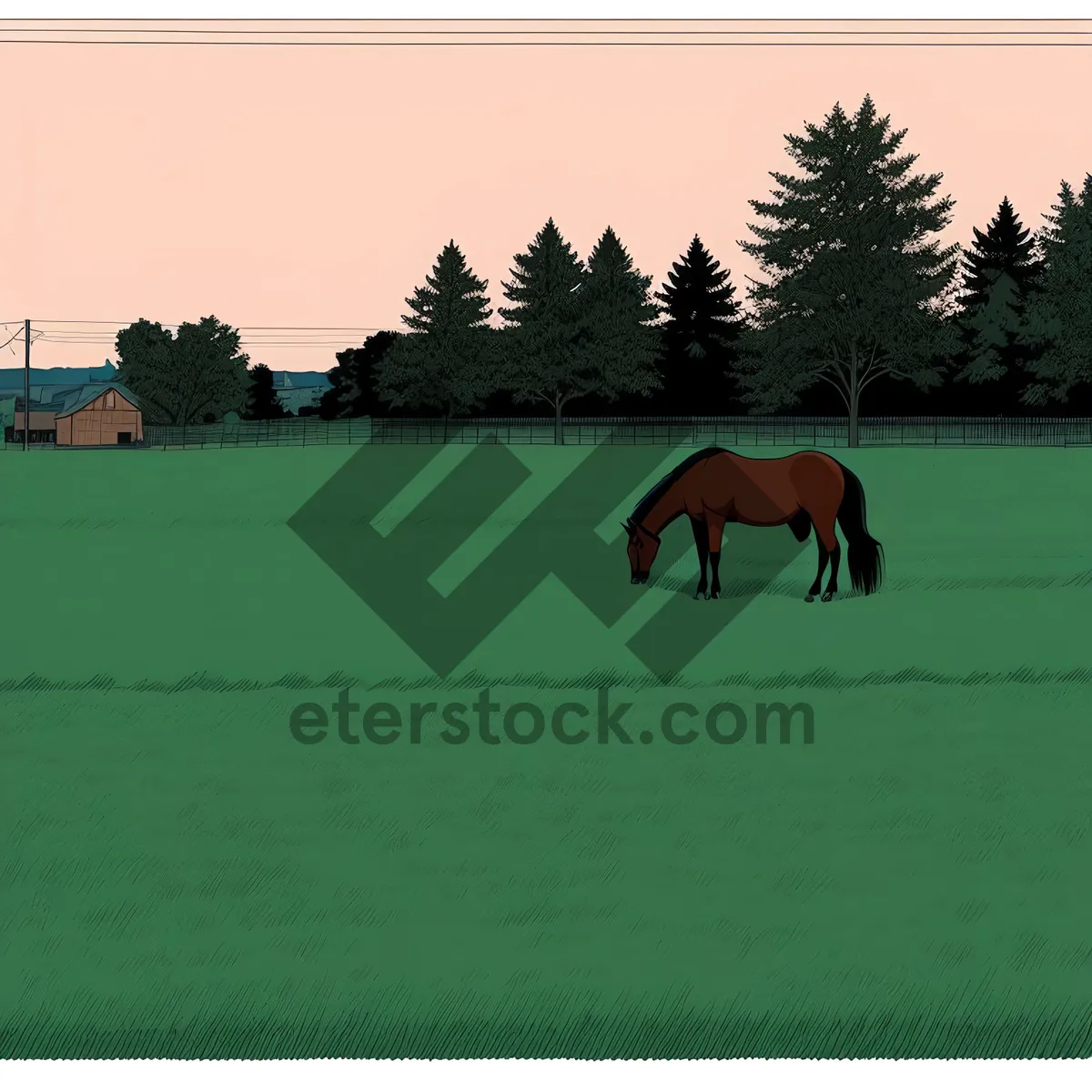 Picture of Thoroughbred horses grazing on rural farm pasture.