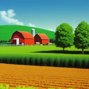 Rural Farm Building Amidst Wheat Field, Under Sunny Sky